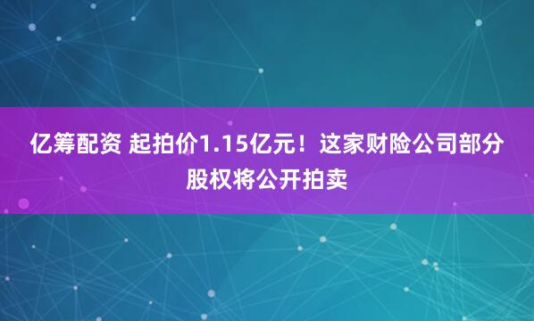 亿筹配资 起拍价1.15亿元！这家财险公司部分股权将公开拍卖