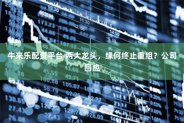牛来乐配资平台 两大龙头，缘何终止重组？公司回应